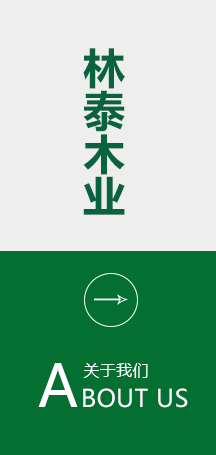 公司簡介